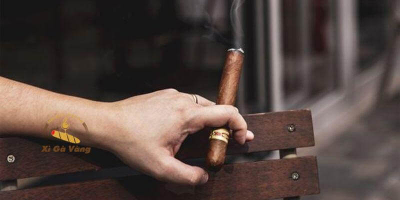 Mua xì gà Cuba ở cửa hàng uy tín giúp đảm bảo chất lượng.